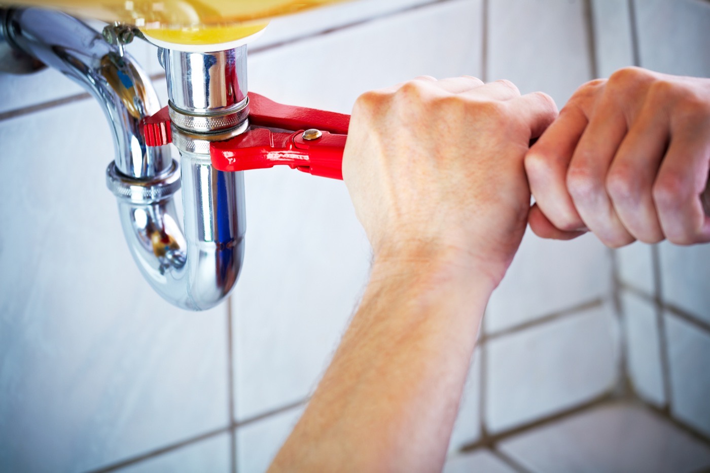 How Expert Rooter Services Can Keep Your Drains Clear and Problem-Free